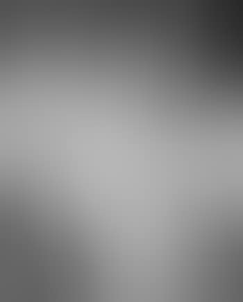 Flowers, abstract composition (preview)