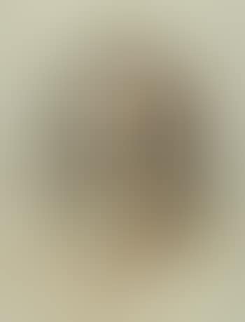Head of man looking up to right. Study of nude looking down to right (preview)