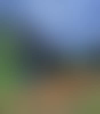 Coastal meadow in spring (preview)