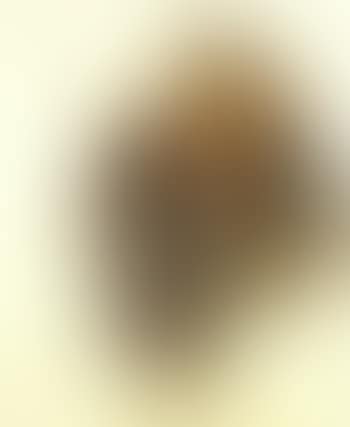 Portrait of John Carrot (preview)