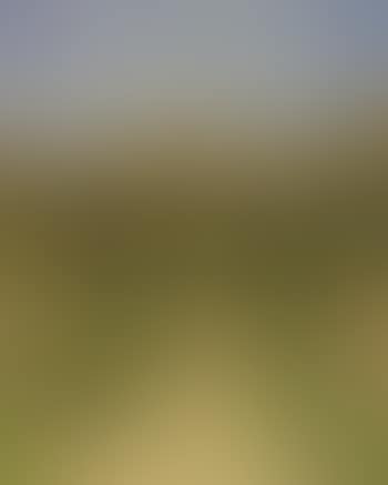 Engadin landscape with girl on path (preview)