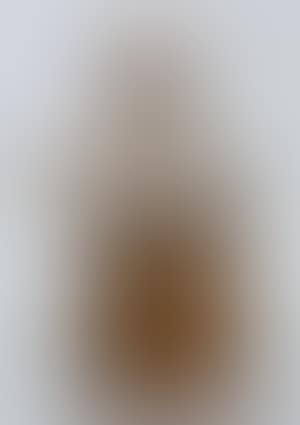 Bust of Saint Carlo Borromeo (preview)