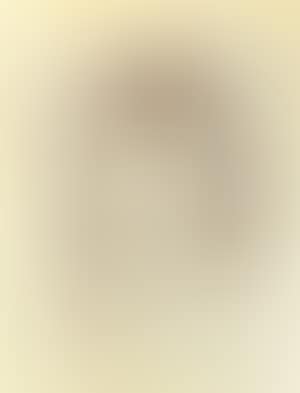 Fillette au chat, from Les Enfants (preview)