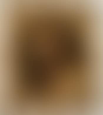 Head of youth (preview)