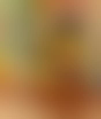 Die gelbe Maske. Saengerin in rot (preview)