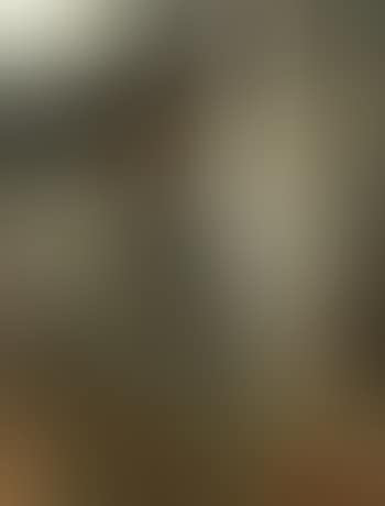 Portrait in studio light (preview)