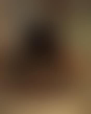 Dachshund with puppies (preview)