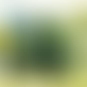 Trees (preview)