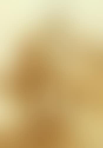 St. Francis of Assisi with putti among clouds (preview)