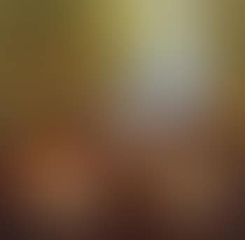 Waterlilies in the reeds (preview)