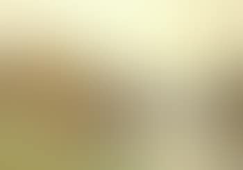 Cattle watering at the edge of a lake. Cattle in a pasture beside cottage (preview)