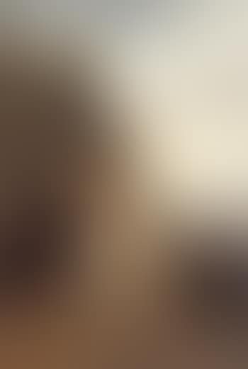 Une alerte (preview)