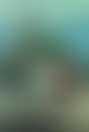Conversation in the park (preview)