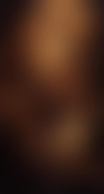 Adoration of the Shepherds (preview)