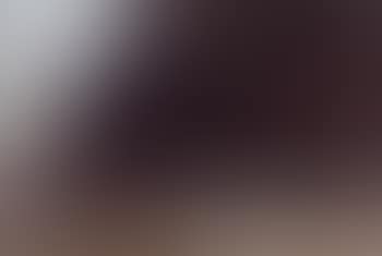 Coastal landscape with dark thicket on hillside (preview)