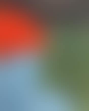 Composition (preview)