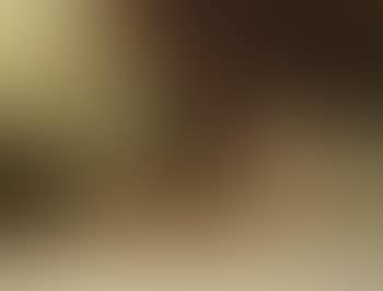 Reveil (preview)