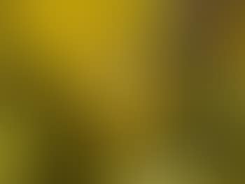 La chambre jaune (preview)