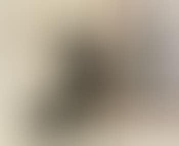 Nature morte avec oiseau en cage (preview)