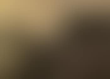 Wooded landscape with sheep grazing by a winding track (preview)