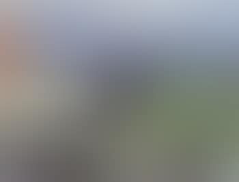 Summer landscape with houses by sea (preview)