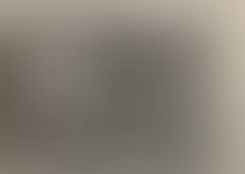 Nature morte au merle noir (preview)