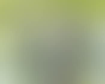 Skowhegan glasses (preview)