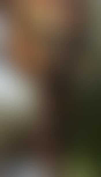 Game of morra (preview)