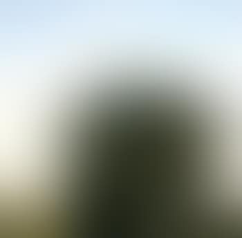 Untitled No 371 (preview)