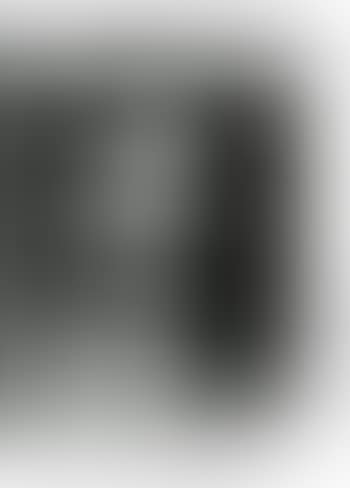 Self portrait (preview)