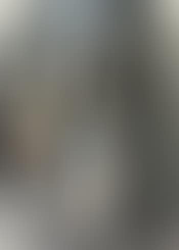 Ethel assumed grandest raiment, from Newcomes (preview)