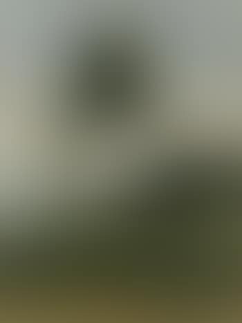 Wooded shore of Lake Geneva, steamship beyond (preview)