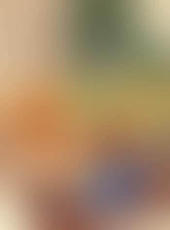 Still life with flower pot and oranges (preview)