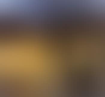 Autumn, Koster (preview)