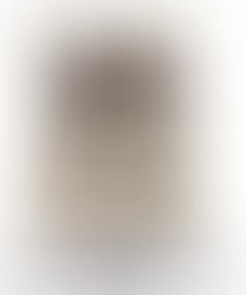 Accumulation (preview)