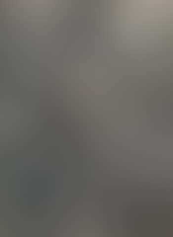 Forest scene (preview)