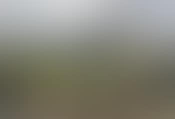 On the scent, the Pytchley Hunt, Leicestershire (preview)