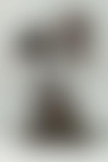 Untitled (preview)