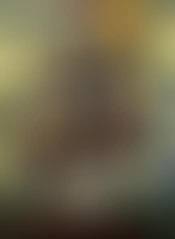 Femme assise dans un jardin (preview)