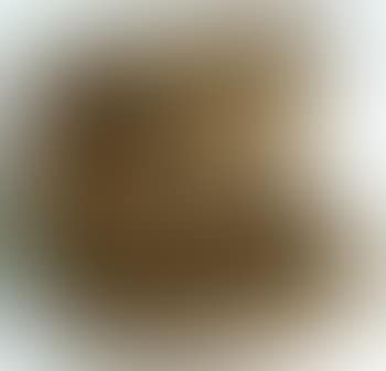 Feuille de Vigne femelle (preview)