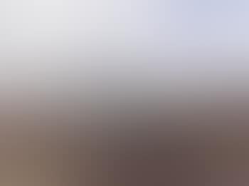 Shepherd and sheep in an extensive moorland landscape (preview)
