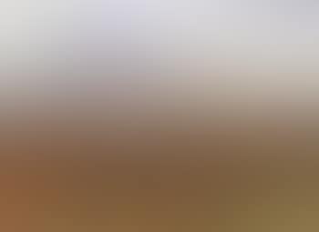 Extensive moorland landscape with figure (preview)