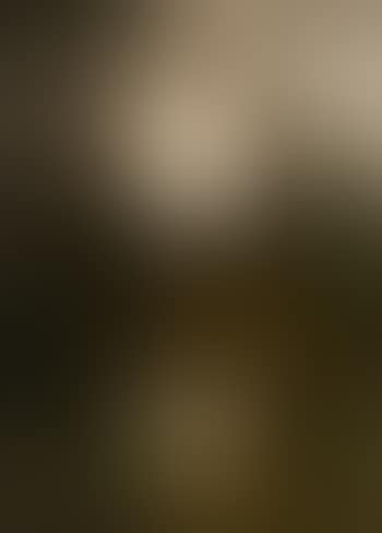 Wooded landscape with watercourse (preview)