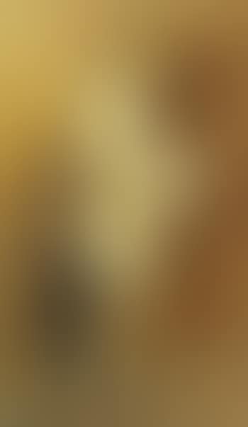 Standing nude woman (preview)
