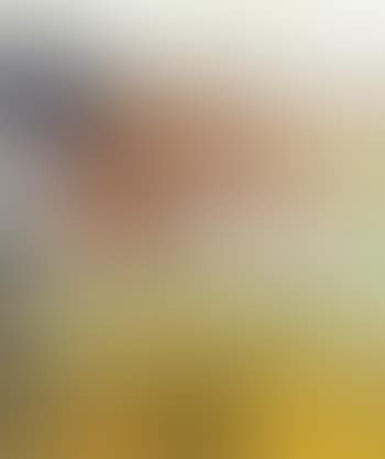 Cubist landscape with Daneborg in background (preview)