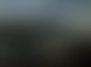 Monhegan Harbor (preview)