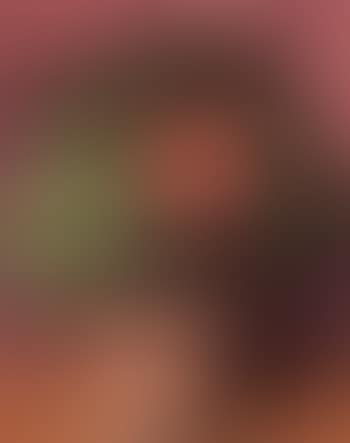 Pink begonia (preview)