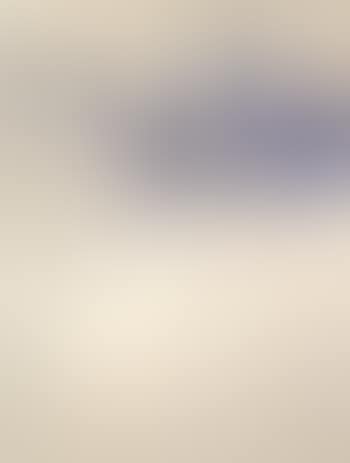 L'entree des ambassadeurs aux Champs-Elysees (preview)