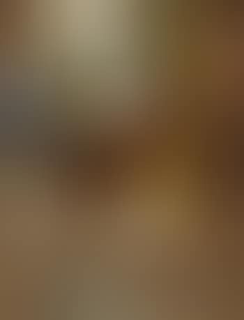 Controluce (preview)