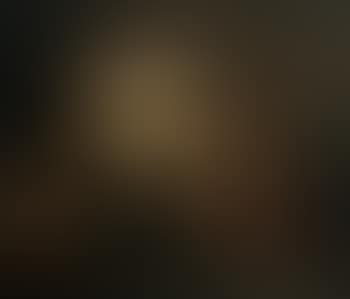 Venus and Adonis (preview)